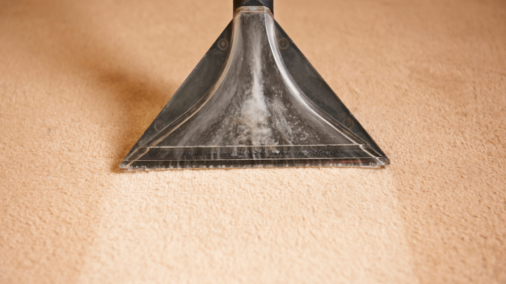 carpet cleaning